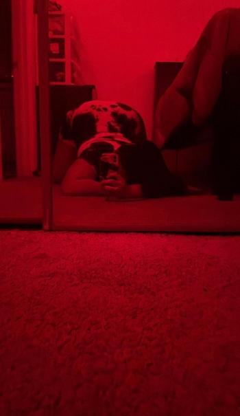 Niyah, 20  female escort, Gainesville