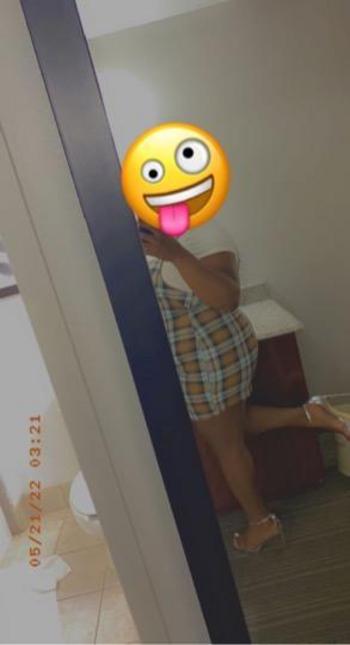 7867138358, female escort, Gainesville